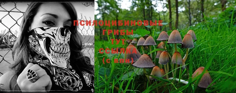 Псилоцибиновые грибы Magic Shrooms  магазин    Энем 