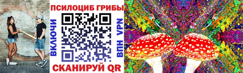 Псилоцибиновые грибы Psilocybine cubensis  сколько стоит  Энем 
